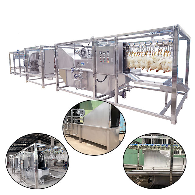 Linea Para Faenado De Pollo Automático - Imagen 2