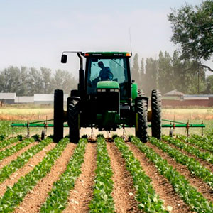 Agricultura